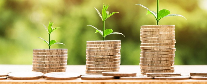 Investment Feasibility  consultants in Mogandishu Somalia, Hargeisa Somaliland, Puntland, Ethiopia, Eritrea, Kenya and Denmark